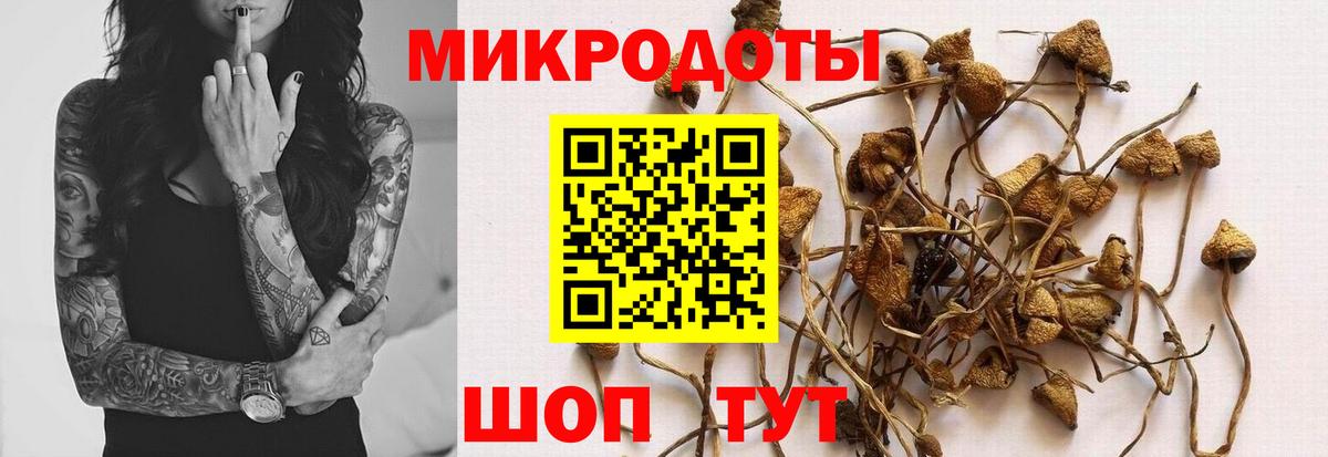 Галлюциногенные грибы ЛСД  Галлюциногенные грибы Psilocybine cubensis  Вход с VPN  сколько стоит  Йошкар-Ола 